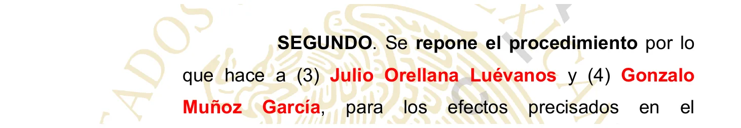 Resolutivo: se repone el procedimiento